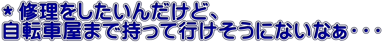 ＊修理をしたいんだけど、 自転車屋まで持って行けそうにないなぁ・・・